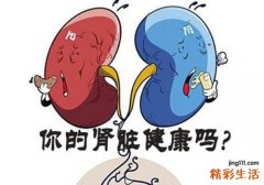肾脏不好吃什么补