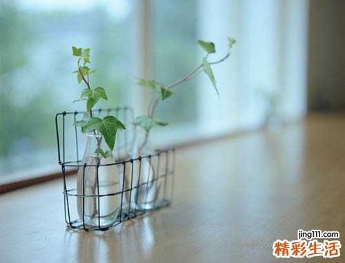 4 第六节 腰痛