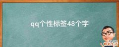 qq个性标签48个字