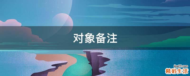 对象备注