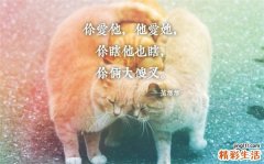 怎样预防心动过速性心肌病，心动过速性心肌病的护理