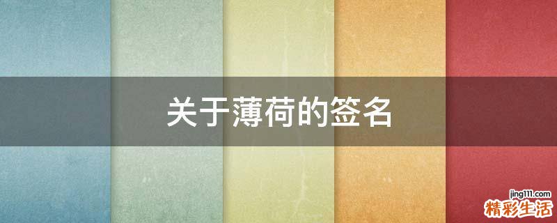 关于薄荷的签名