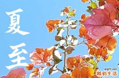 夏至是2023的几月几日 夏至是白天最长的一天吗
