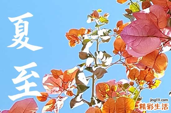 夏至是2023的几月几日 夏至是白天最长的一天吗