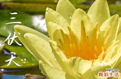 2023年哪天入伏 2023入伏时间是什么时候