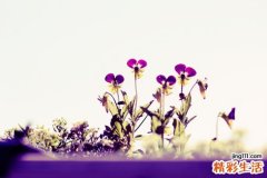 22 第二节 血证