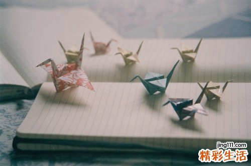 17 第二节 血证