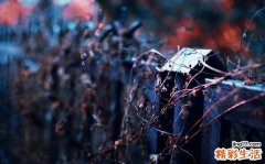 16 第二节 血证