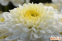 2023年7月份迁坟好日子 2023年7月迁坟最佳时间表