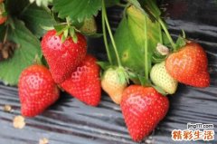 孕妇上火吃什么水果降火 孕妇上火是什么原因