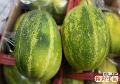 孕妇吃香瓜会拉肚子吗 孕妇吃香瓜拉肚子怎么办