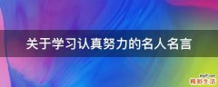 关于学习认真努力的名人名言