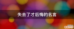 失去了才后悔的名言
