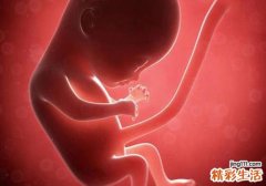 怀孕期间发烧对胎儿有影响吗