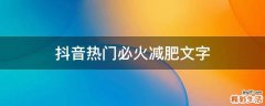 抖音热门必火减肥文字