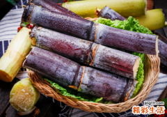 吃了甘蔗突然不孕吐了 甘蔗怀孕可以吃吗