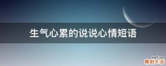 生气心累的说说心情短语