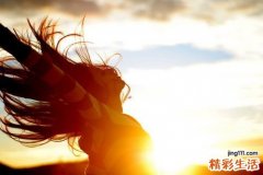 鸢尾