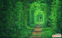 7 山羊角
