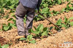 2024年劳动节后微信问候30句