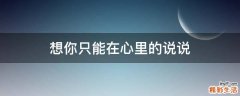 想你只能在心里的说说