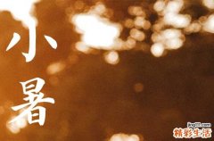 小暑节气祝福语简短