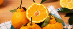 丑桔是寒性水果还是温性水果 丑桔什么季节最好吃