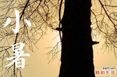 小暑节气祝福短句