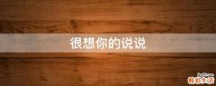很想你的说说