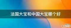 法国大宝和中国大宝哪个好