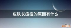 皮肤长痘痘的原因有什么