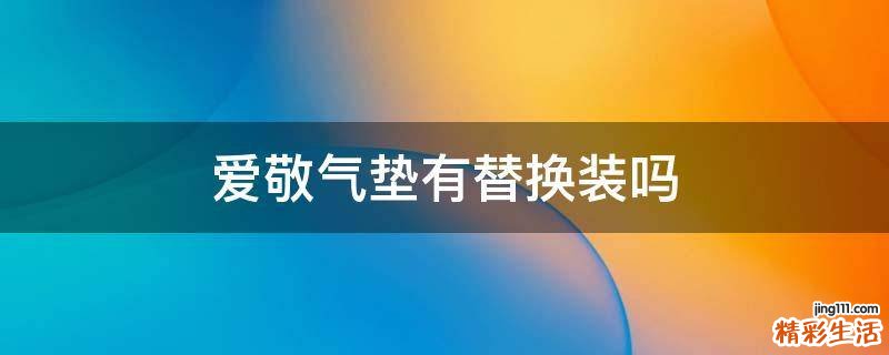 爱敬气垫有替换装吗