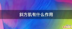 斜方肌有什么作用