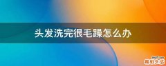 头发洗完很毛躁怎么办