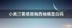 小奥汀雾感唇釉西柚橘显白吗