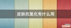 皮肤抗氧化有什么用