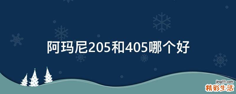阿玛尼205和405哪个好