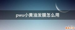 pwu小黄油发膜怎么用