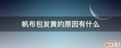 帆布包发黄的原因有什么