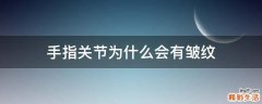 手指关节为什么会有皱纹