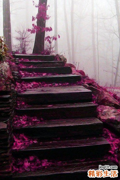 冬季养生必吃十款养生粥