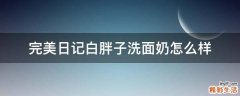 完美日记白胖子洗面奶怎么样