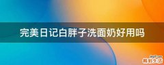 完美日记白胖子洗面奶好用吗
