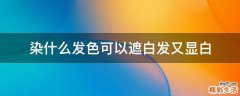 染什么发色可以遮白发又显白