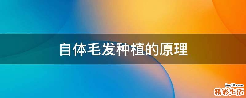 自体毛发种植的原理