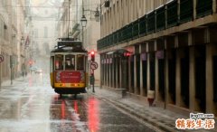 4 生姜 厨房里的一味好药