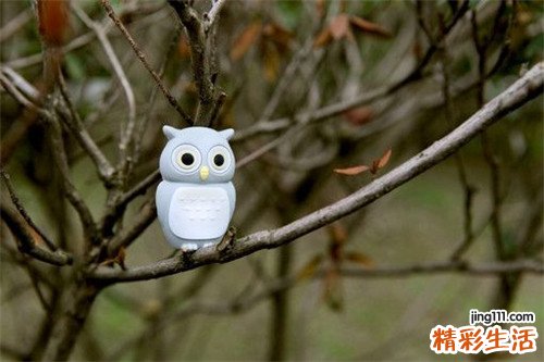 3 男人补肾饮食有讲究