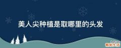 美人尖种植是取哪里的头发