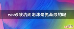 wis碳酸洁面泡沫是氨基酸的吗
