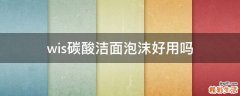wis碳酸洁面泡沫好用吗